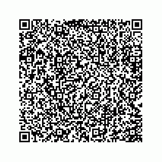 vCard 73845651385