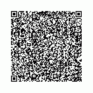 vCard 73845651387