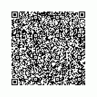 vCard 73845651393