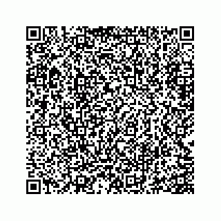 vCard 73845651399