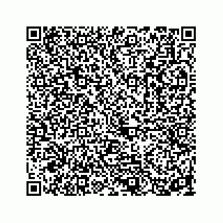 vCard 73845659331