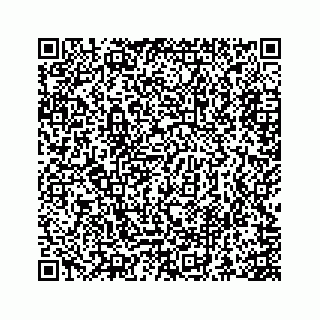 vCard 73845666929