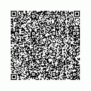 vCard 73845669221
