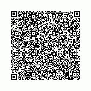 vCard 73845669311