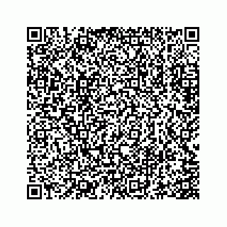 vCard 73845669313