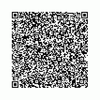 vCard 73845669318