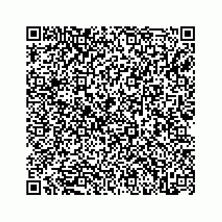 vCard 73845669321