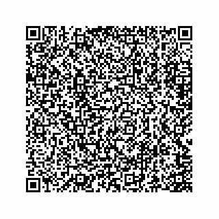 vCard 73845669331