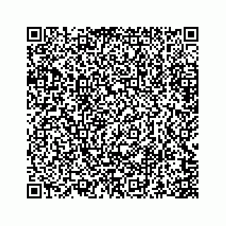 vCard 73845669335