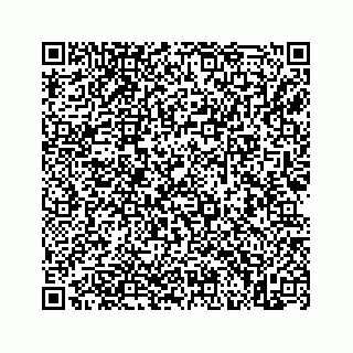 vCard 73845669339