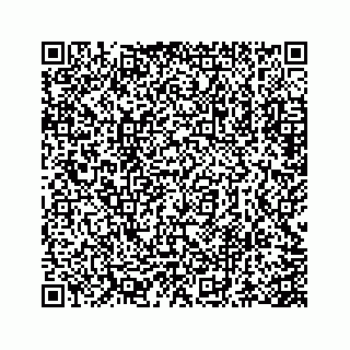 vCard 73845669353