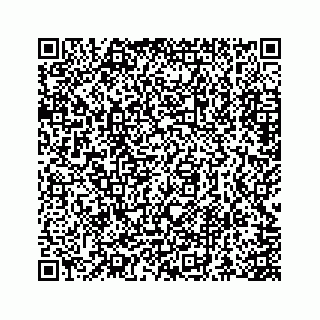 vCard 73845669371