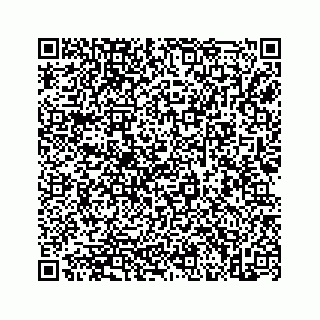 vCard 73845669377