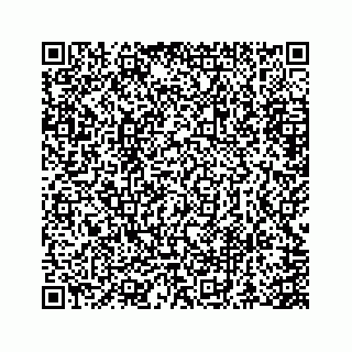 vCard 73845669378