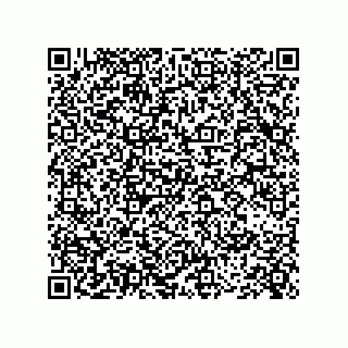 vCard 73845694132