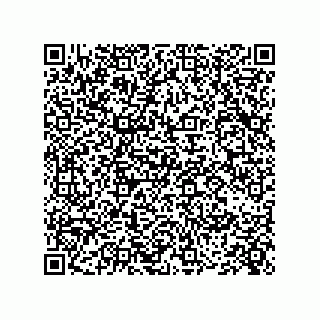 vCard 73845694208