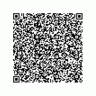 vCard 73845694291