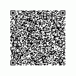 vCard 73845696199