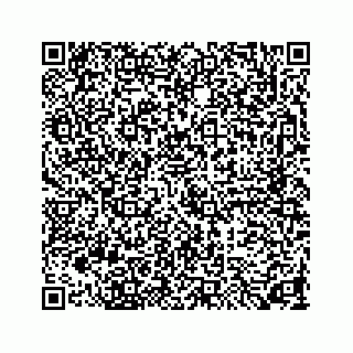 vCard 73846325133