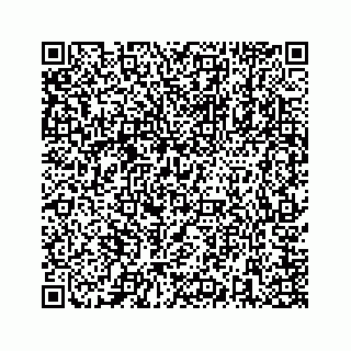 vCard 73846325137