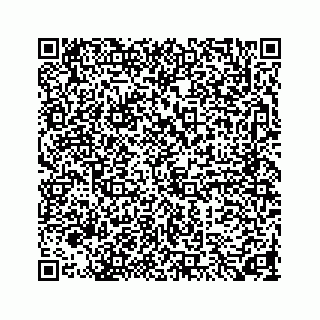 vCard 73846325138