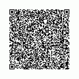 vCard 73846325199
