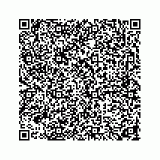 vCard 73846325278
