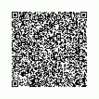 vCard 73846325299