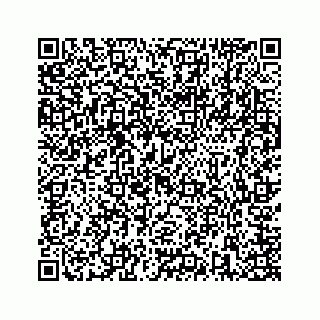 vCard 73846325305