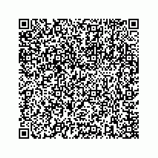 vCard 73846325311