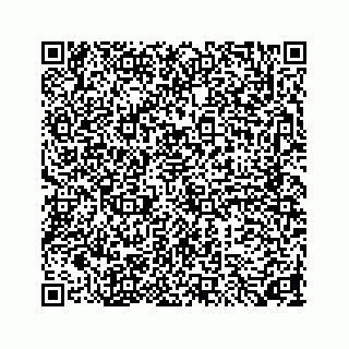 vCard 73846325331