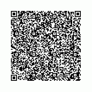 vCard 73846325333