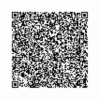 vCard 73846325387