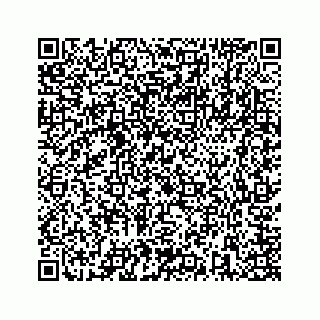 vCard 73846325411