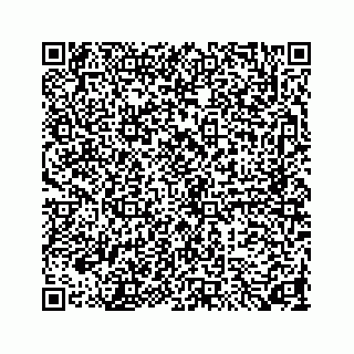 vCard 73846325412