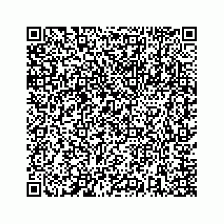 vCard 73846325413