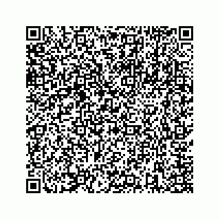 vCard 73846325419