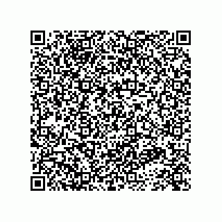 vCard 73847156319