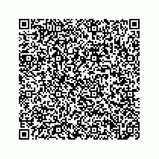 vCard 73847365333