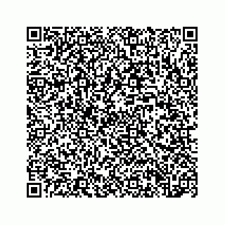 vCard 73847365376