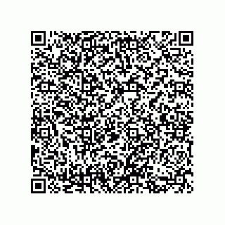 vCard 73852230293