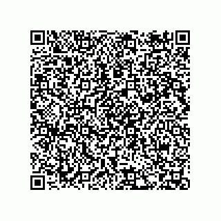 vCard 73852299725