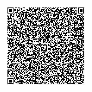vCard 73852299771