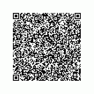 vCard 73852299793
