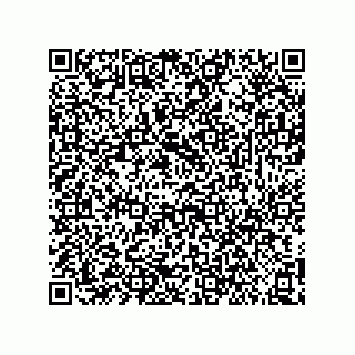vCard 73852391379