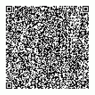vCard 73852600095