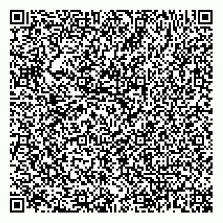 vCard 73852600231