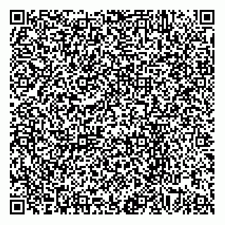 vCard 73852600331