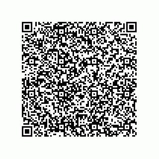 vCard 73852600335