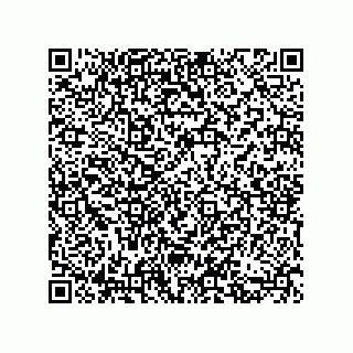vCard 73852991295